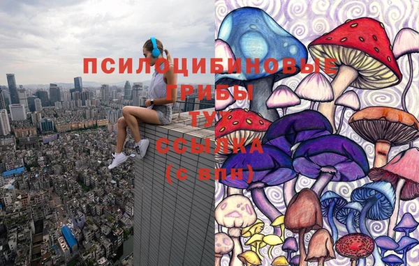 дмт Баксан