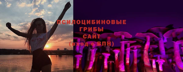 крисы Балахна