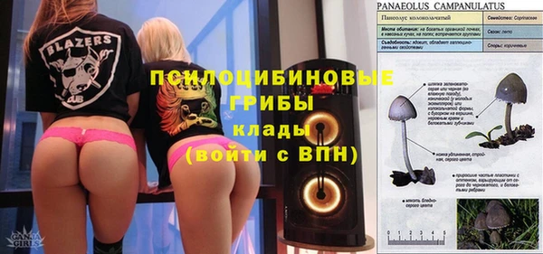 дмт Баксан