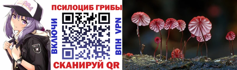 Псилоцибиновые грибы Psilocybe  купить закладку  кракен ТОР  Гуково 